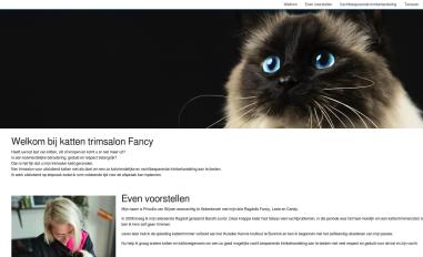 Schermafbeelding van kattentrimsalonfancy.nl