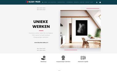 Schermafbeelding van kleuraanjemuur.nl