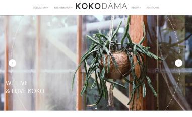 Schermafbeelding van kokodama.com