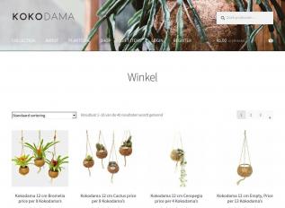 Schermafbeelding van kokodama.store