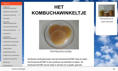 Schermafbeelding van kombuchawinkeltje.nl