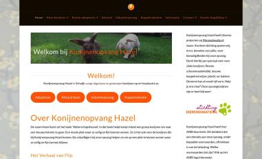 Schermafbeelding van konijnenopvanghazel.nl