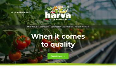 Schermafbeelding van l0rzh.weblium.site