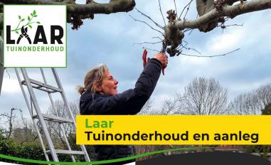 Schermafbeelding van laartuinonderhoud.nl