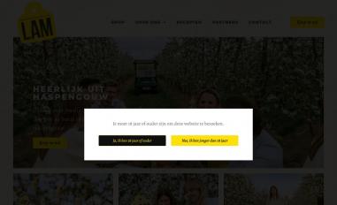 Schermafbeelding van lamgin.be