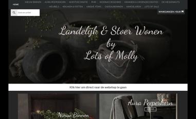 Schermafbeelding van landelijkenstoerwonen.nl