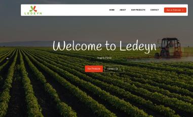 Schermafbeelding van ledeyn.com