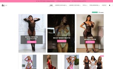 Schermafbeelding van lekker-stout.nl