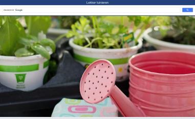 Schermafbeelding van lekker-tuinieren.nl