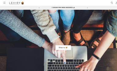 Schermafbeelding van leviry.nl