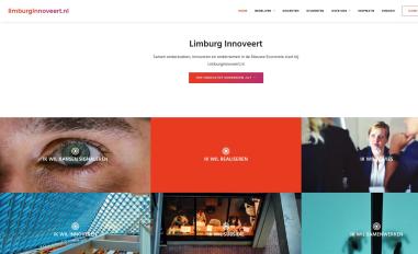 Schermafbeelding van limburginnoveert.nl