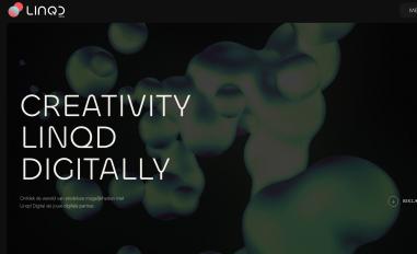 Schermafbeelding van linqd.digital