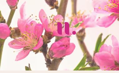 Schermafbeelding van madretribu.com