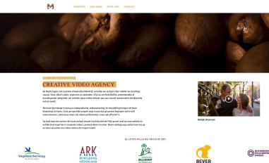 Schermafbeelding van mediaspark.nl