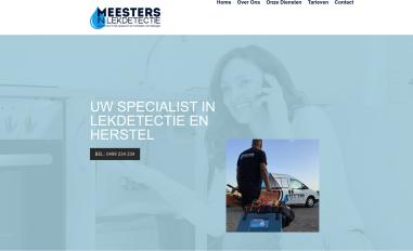 Schermafbeelding van meestersinlekdetectie.nl
