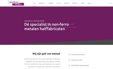 Schermafbeelding van metaalketen.com