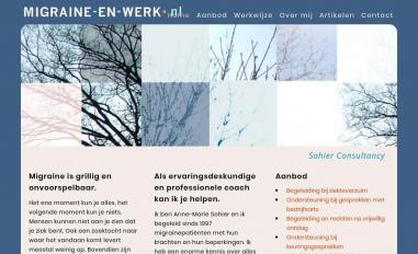 Schermafbeelding van migraine-en-werk.nl