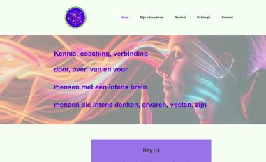 Schermafbeelding van mijnintensbrein.be