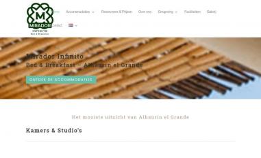 Schermafbeelding van miradorinfinito.com