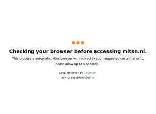 Schermafbeelding van mitsn.nl