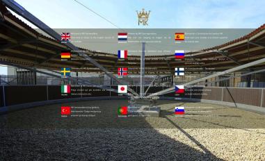 Schermafbeelding van molenkoning.com