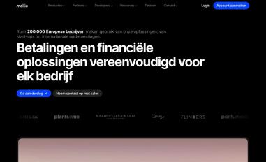 Schermafbeelding van mollie.nl