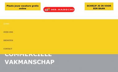 Schermafbeelding van mrhabechi.nl