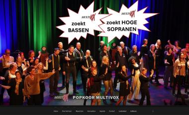 Schermafbeelding van multivox.nl