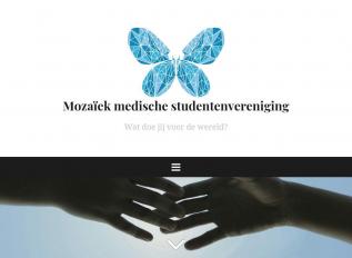 Schermafbeelding van mvmozaiek.nl