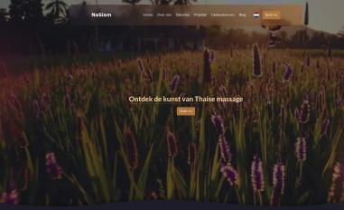 Schermafbeelding van nasiam.be