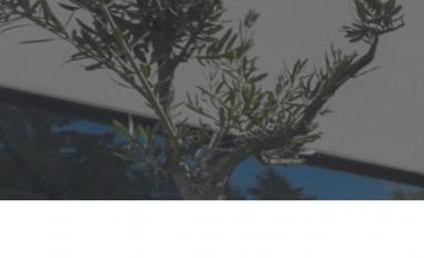 Schermafbeelding van neo-facade.be