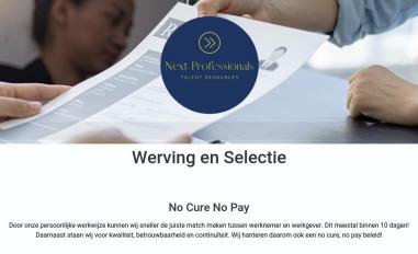 Schermafbeelding van next-professionals.com