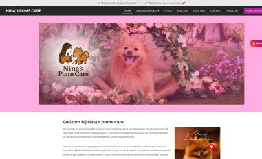 Schermafbeelding van ninaspomscare.nl