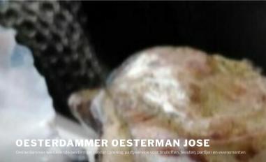 Schermafbeelding van oesterdammer.com