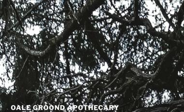 Schermafbeelding van ogapothecary.nl