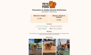 Schermafbeelding van oneinamillionpoms.nl