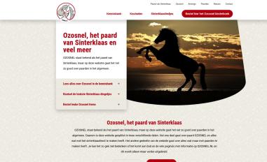 Schermafbeelding van ozosnel.nl