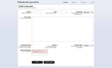 Schermafbeelding van paste.toolforge.org