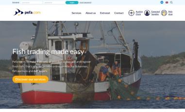 Schermafbeelding van pefa.com