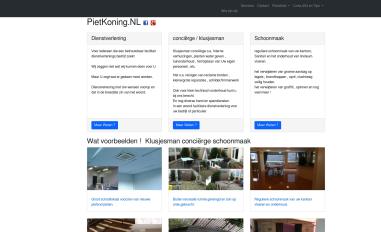 Schermafbeelding van pietkoning.nl