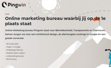 Schermafbeelding van pingwin.nl
