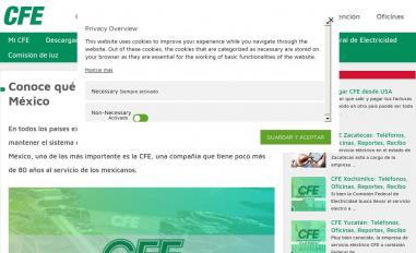 Schermafbeelding van portal-cfe.com.mx