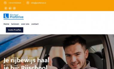 Schermafbeelding van profdrive.nl