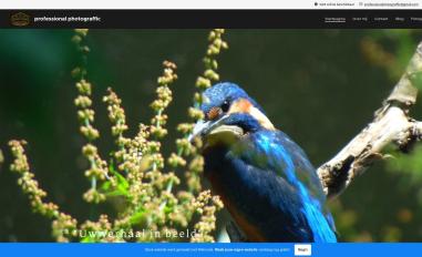 Schermafbeelding van professional-photograffic.webnode.nl