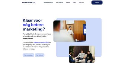Schermafbeelding van promptgorillas.com