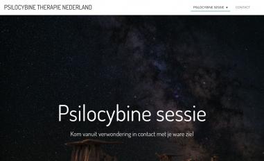 Schermafbeelding van psilocybine-therapie-nederland.jouwweb.nl