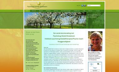 Schermafbeelding van psycholooghengelo.nl