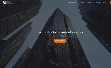 Schermafbeelding van publiekesectorsaccountants.durablesites.com