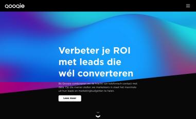 Schermafbeelding van qooqie.com