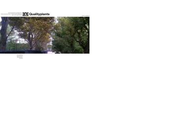 Schermafbeelding van qualityplants.be